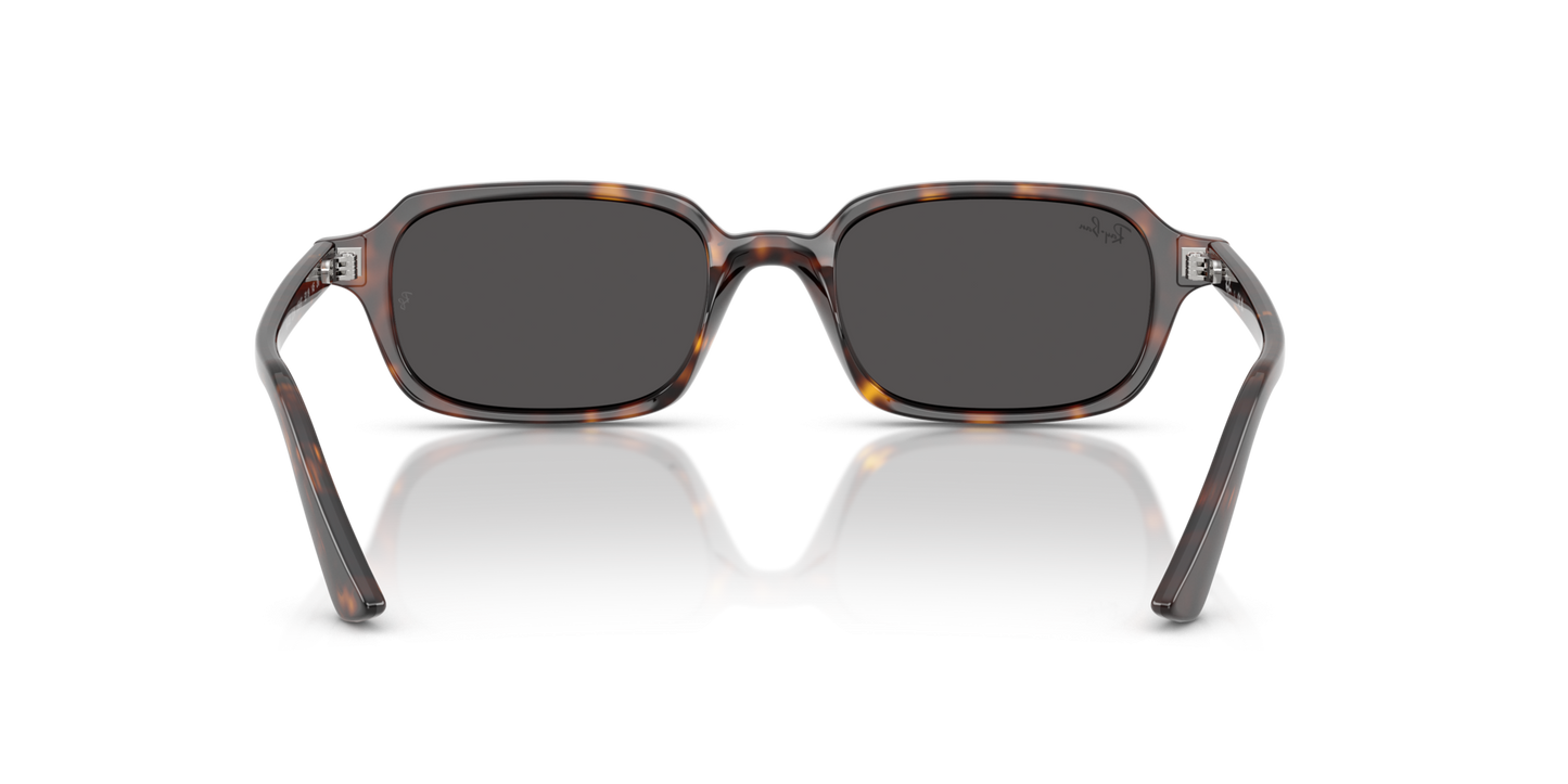 Ray-Ban Zuri RB4455 1359/87