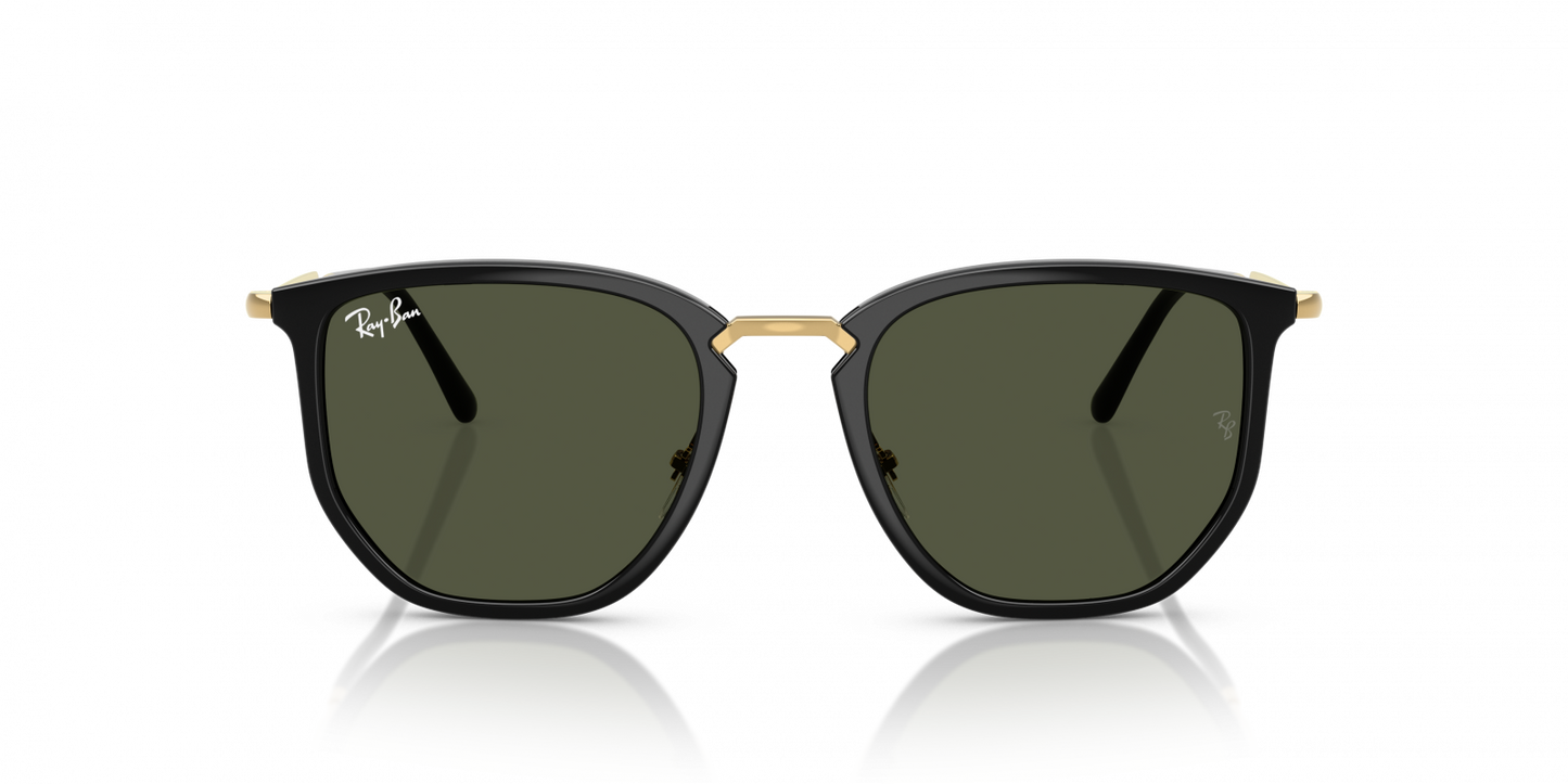Ray-Ban RB4451 630631