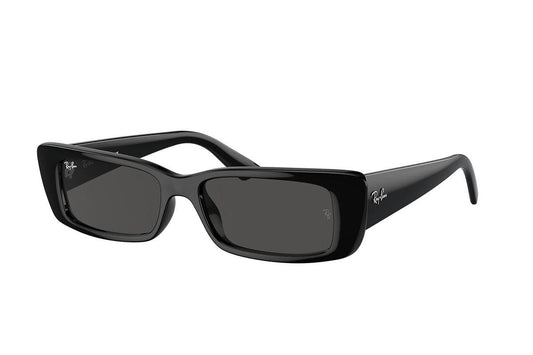 Ray-Ban Teru RB4425 667787