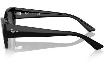 Ray-Ban Zena F RB4430 6677/87