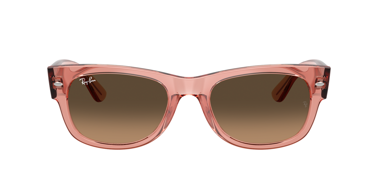 Ray-Ban Mega Wayfarer 2 RB0832S 6848/43