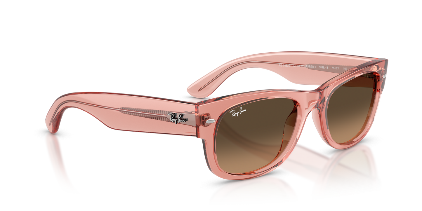 Ray-Ban Mega Wayfarer 2 RB0832S 6848/43