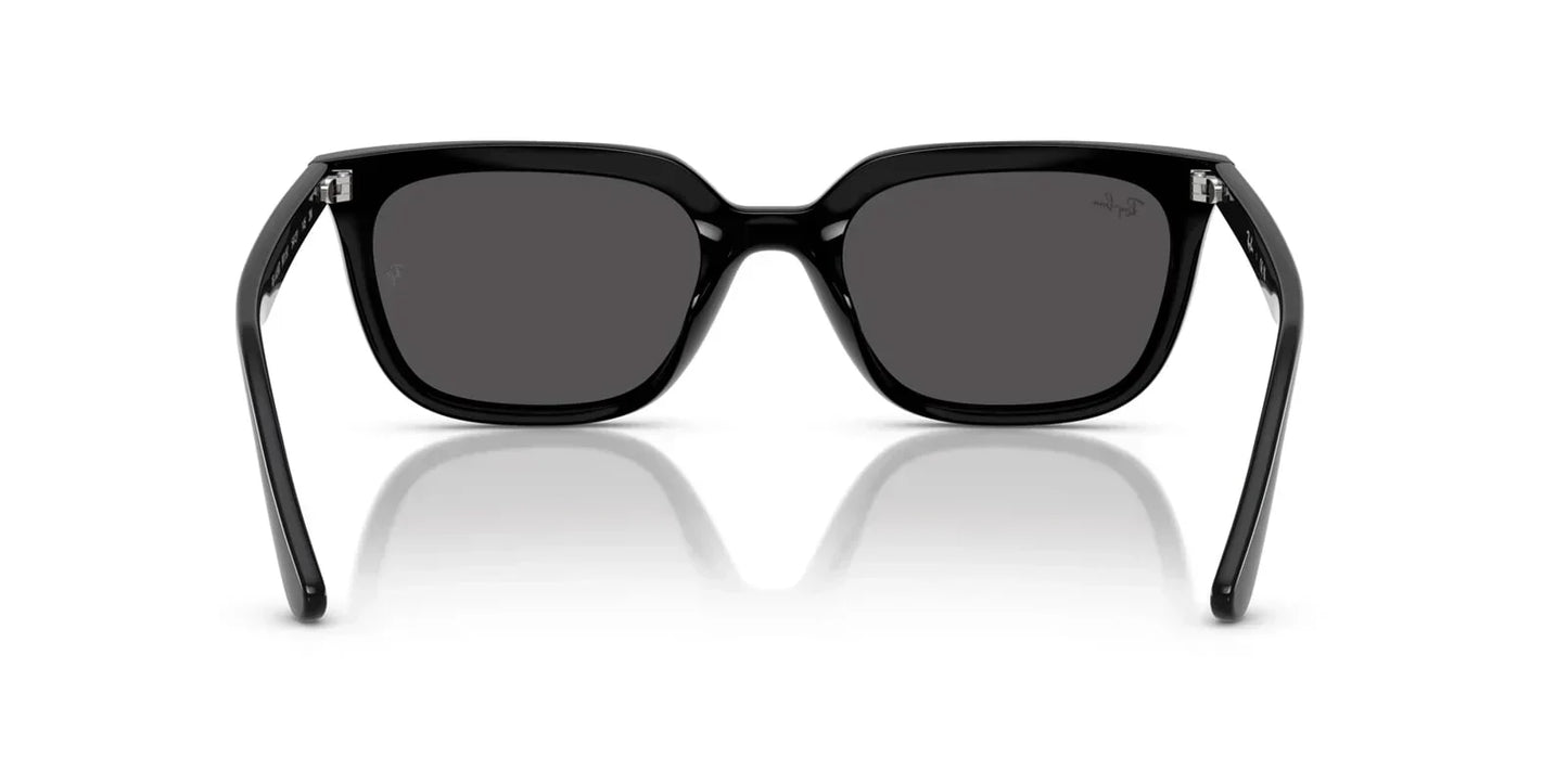 Ray-Ban RB4436D 901/87