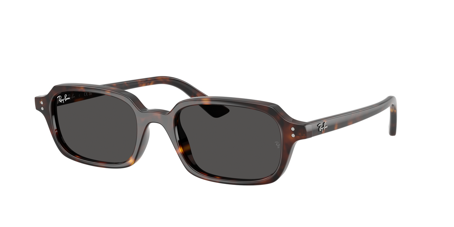 Ray-Ban Zuri RB4455 1359/87